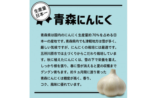 青森県産にんにく（上級品）600g Lサイズ ホワイト六片 にんにく 青森 五所川原 大蒜 ニンニク