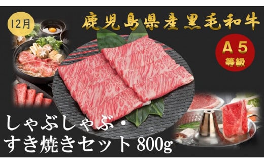 【定期便/全6回】プレミアム定期便  A5等級　鹿児島県産黒毛和牛