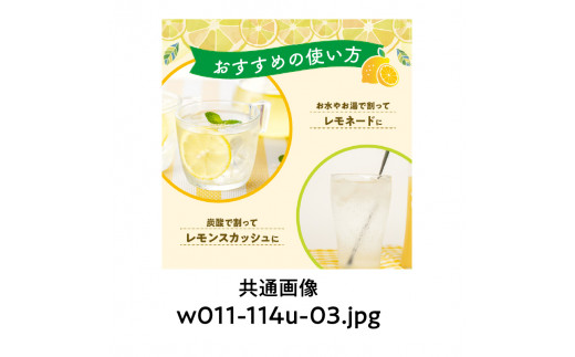 沖永良部島の島レモンシロップ（200ml）2本セット　W011-114u