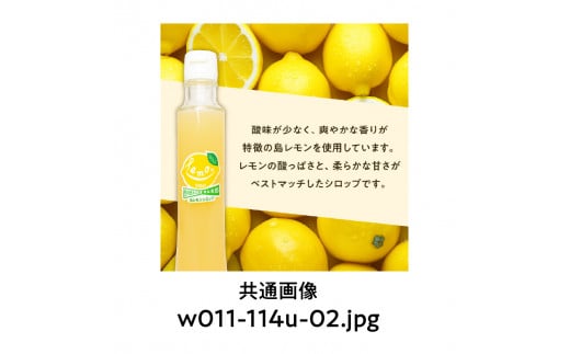 沖永良部島の島レモンシロップ（200ml）2本セット　W011-114u