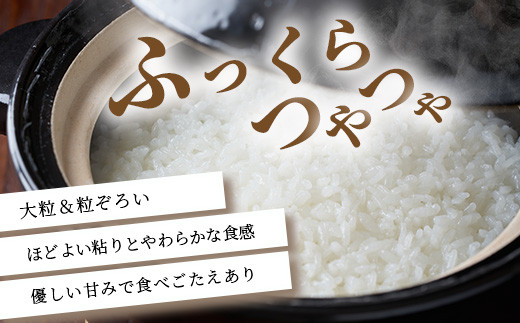 「令和6年産 新米 先行受付」 那賀町相生産 てんこもり 白米 10kg 1袋 「2024年10月上旬より発送」 【徳島 那賀 国産 徳島県産 特A ブランド米 お米 こめ おこめ 米 ご飯 ごはん 白ご飯 白米 10キロ 和食 おにぎり お弁当 白米 精米 おいしい 食べて応援 お取り寄せ 産地直送】YS-39