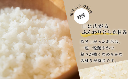 「令和6年産 新米 先行受付」 那賀町相生産 てんこもり 白米 10kg 1袋 「2024年10月上旬より発送」 【徳島 那賀 国産 徳島県産 特A ブランド米 お米 こめ おこめ 米 ご飯 ごはん 白ご飯 白米 10キロ 和食 おにぎり お弁当 白米 精米 おいしい 食べて応援 お取り寄せ 産地直送】YS-39