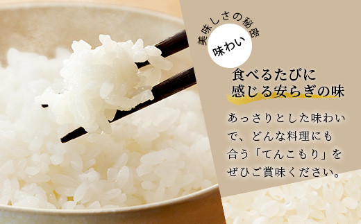 「令和6年産 新米 先行受付」 那賀町相生産 てんこもり 白米 10kg 1袋 「2024年10月上旬より発送」 【徳島 那賀 国産 徳島県産 特A ブランド米 お米 こめ おこめ 米 ご飯 ごはん 白ご飯 白米 10キロ 和食 おにぎり お弁当 白米 精米 おいしい 食べて応援 お取り寄せ 産地直送】YS-39