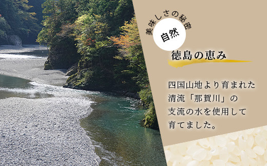 「令和6年産 新米 先行受付」 那賀町相生産 てんこもり 白米 10kg 1袋 「2024年10月上旬より発送」 【徳島 那賀 国産 徳島県産 特A ブランド米 お米 こめ おこめ 米 ご飯 ごはん 白ご飯 白米 10キロ 和食 おにぎり お弁当 白米 精米 おいしい 食べて応援 お取り寄せ 産地直送】YS-39