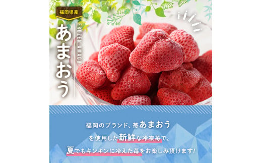 ＜先行予約受付中・2024年12月中旬より順次発送＞冷凍あまおう苺(約500g×2袋・計1kg)いちご イチゴ 冷凍 シャーベット 冷凍いちご ヨーグルト ジャム ＜離島配送不可＞【ksg0046】【南国フルーツ】