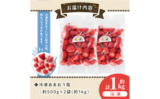 ＜先行予約受付中・2024年12月中旬より順次発送＞冷凍あまおう苺(約500g×2袋・計1kg)いちご イチゴ 冷凍 シャーベット 冷凍いちご ヨーグルト ジャム ＜離島配送不可＞【ksg0046】【南国フルーツ】