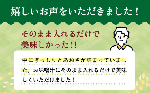 【12回定期便】小値賀でとれたあおさ（12g入）×4袋＜factory333＞ [DAS020] 常温