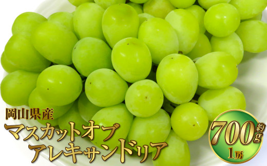 岡山県産 マスカットオブアレキサンドリア 約700g（700g×1房） 【2024年8月下旬～9月下旬迄発送予定】