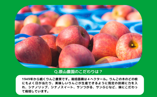 りんご サンふじ 家庭用 ( 小玉 ) 5kg 原山農園 沖縄県への配送不可 2025年1月上旬頃から2025年3月上旬頃まで順次発送予定 令和6年度収穫分 信州 果物 フルーツ リンゴ 林檎 長野 10500円 予約 農家直送 長野県 飯綱町 [0785]