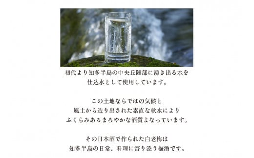 【お歳暮 内熨斗対応可能】知多の梅酒「白老梅」純米吟醸、純米大吟醸のセット ／ お酒 リキュール 佐布里梅 愛知県 特産品