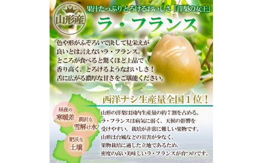 山形の洋梨 ラフランス 優品 約3kg 16玉(4個入バック×4P)[12月発送] FY24-039