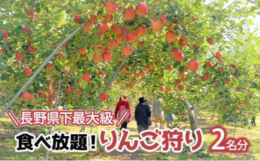 長野県下最大級 りんご狩り体験 りんご狩り発祥園 体験チケット 環境 優しい 安心 安全 こだわり 低農薬 有機肥料 循環型 定番 オリジナル 新品種[№5915-1206]