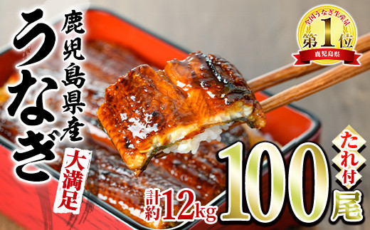 【4504306a】＜大満足＞東串良町のうなぎ蒲焼(無頭)(120g×100尾・計約12000g・タレ、山椒付)うなぎ 高級 ウナギ 鰻 国産 蒲焼 蒲焼き たれ 鹿児島 ふるさと 人気【アクアおおすみ】