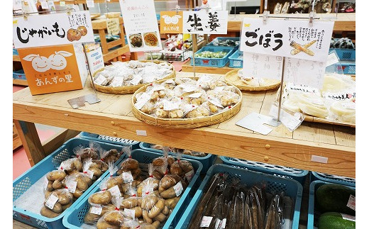 穫れたて！野菜・果物詰め合わせ10品★あんずの里[F0042]