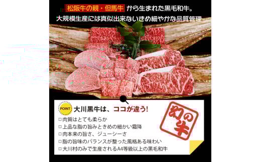 国産黒毛和牛 大川黒牛 ロース しゃぶしゃぶ用 スライス A4（250g×2パック） 国産 黒毛和牛 A4 ロース 牛肉 しゃぶしゃぶ 牛しゃぶ 鍋 牛 ビーフ 肉 食品 高知県 大川村 F6R-023