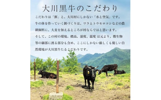 国産黒毛和牛 大川黒牛 ロース しゃぶしゃぶ用 スライス A4（250g×2パック） 国産 黒毛和牛 A4 ロース 牛肉 しゃぶしゃぶ 牛しゃぶ 鍋 牛 ビーフ 肉 食品 高知県 大川村 F6R-023