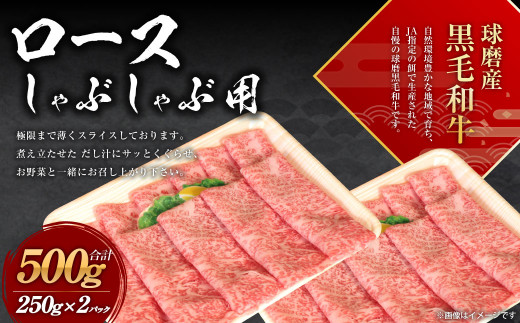 球磨産 黒毛和牛 ロース しゃぶしゃぶ用  500g (250g×2パック)