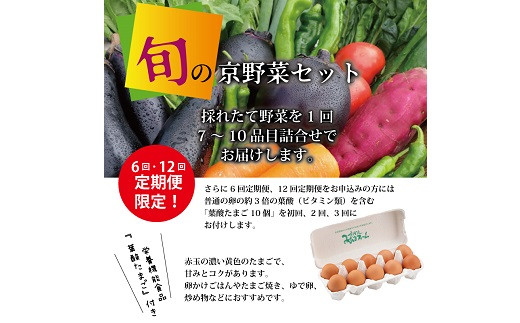 【12回定期便】旬の京野菜 毎月お届けスペシャルコース（全12回）＆『葉酸たまご』10個入り×1パック×3回分付き 《野菜定期便 野菜詰め合わせ 野菜セット 京野菜 旬の野菜 新鮮野菜 有機野菜 減農薬 卵》 ※沖縄・その他離島は配送不可 [180KH001R]