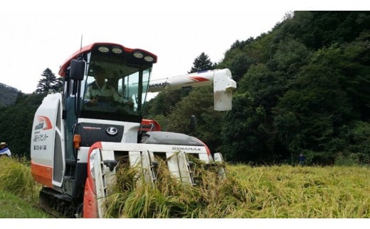 Z-52 【定期便】兵庫県播磨産「山陽ほまれ　コシヒカリ」10㎏ 「6回お届け（偶数月発送）」