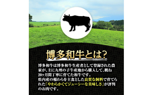 博多和牛ヒレステーキ 自家製ジャポネソース付(100g×5枚)牛肉 和牛 博多和牛 国産 ステーキ ヒレ肉＜離島配送不可＞【ksg1286】【くしだ企画】