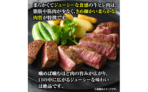 博多和牛ヒレステーキ 自家製ジャポネソース付(100g×5枚)牛肉 和牛 博多和牛 国産 ステーキ ヒレ肉＜離島配送不可＞【ksg1286】【くしだ企画】