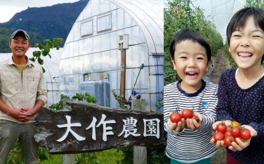 ＜2024年7月上旬よりお届け＞北海道壮瞥町産　大作農園「夏アスパラとカラフルミニトマト」のセット約1kg 先行予約【 ふるさと納税 人気 おすすめ ランキング アスパラ あすぱら トマト とまと ミニトマト 野菜 セット 北海道 壮瞥町 送料無料 】 SBTR004