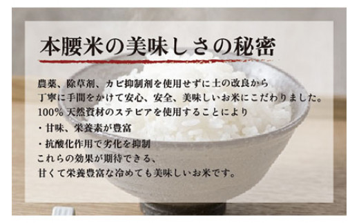 【新米】令和6年産 本腰米10kg 精米 千葉県産コシヒカリ 農薬不使用 お米 10kg 千葉県産 大網白里市 コシヒカリ 農薬不使用 米 精米 こめ 送料無料