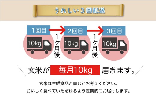 ＜配送時期が選べて便利な定期便＞ 令和6年産 雪若丸 ＜玄米＞ 30㎏ 定期便（10kg×3回お届け） 大蔵村