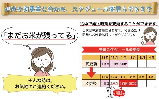 ＜配送時期が選べて便利な定期便＞ 令和6年産 雪若丸 ＜玄米＞ 30㎏ 定期便（10kg×3回お届け） 大蔵村