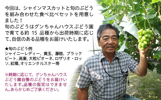 337ぶどう食べ比べ 2房 約1.5kg シャインマスカット 旬のぶどう 人気 食べ比べ フルーツ 先行予約【2023年8月中旬～9月上旬ごろ発送予定】