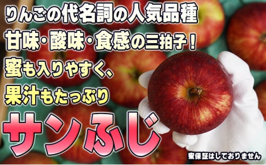 [№5554-0133]2月発送【糖度保証】贈答用 葉取らず サンふじ 約5kg 【特選】【鶴翔りんごGAP部会 青森県産 津軽産 リンゴ 林檎】