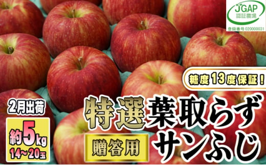 [№5554-0133]2月発送【糖度保証】贈答用 葉取らず サンふじ 約5kg 【特選】【鶴翔りんごGAP部会 青森県産 津軽産 リンゴ 林檎】