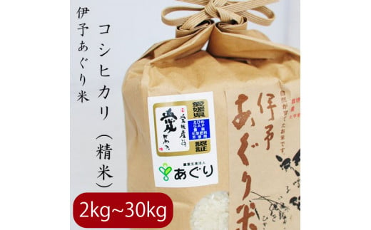 【新米】【選べるキロ数】米 精米 5kg 伊予あぐり米「コシヒカリ」 令和6年産 米 農薬・化学肥料不使用 米 精米 令和6年産 米 お米 こめ 農薬・化学肥料不使用 こだわりのお米 愛媛県 松前町 松前 まさき 愛媛 えひめ おこめ 有限会社あぐり 愛媛県産米 松前町産米 美味しいお米 おにぎり  お米 贈答 贈り物 愛媛県 松前町 有限会社あぐり　