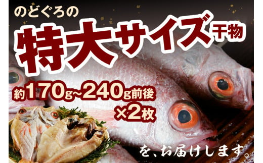 のどぐろ干物 特大2枚（計400g前後）のどぐろ本来の旨味に出会う渾身の干物 河野乾魚店 魚介類 魚貝類 干物 干もの 一夜干し 新鮮 厳選 海鮮 個包装 アカムツ 【966】