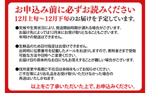 【先行予約】★オンライン限定★ 数量限定 残りわずか プレミアム「冬恋」約2.5kg【冬恋研究会】 (AI008)