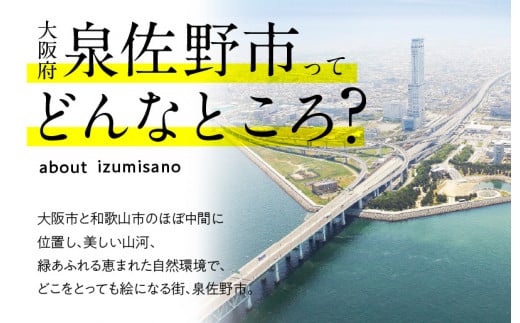 【年内発送】アロマドレッシング7本セット(ギフト箱入り) いずみピクルス NSW スピード発送【特別寄附金額】