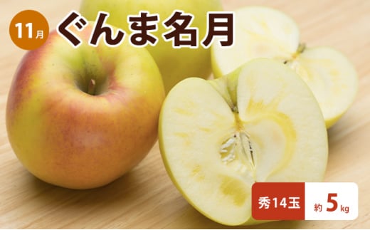 定期便 3ヶ月 志賀高原季節のりんご定期便3回コース 【 りんご シナノスイート ぐんま名月 サンふじ リンゴ フルーツ 果物 デザート おやつ 長野県 長野 定期 お楽しみ 3回 】