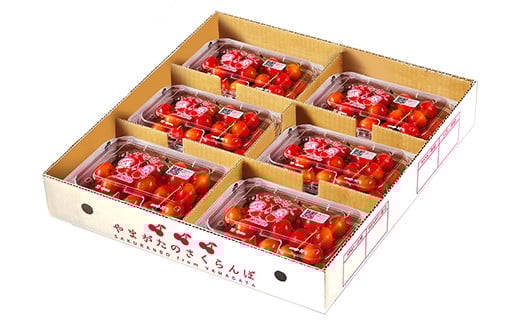 ふるさと納税】【先行予約】 ご家庭用 さくらんぼ 佐藤錦 秀品 M