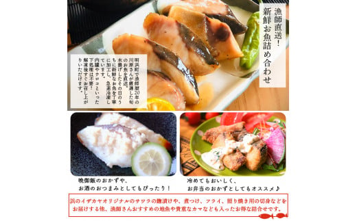 ＜漁師直送 新鮮お魚の詰め合わせ＞ 魚 さかな つめあわせ お楽しみ 8種以上 麹漬け 切り身 おかず おつまみ 下処理済み 簡単 海鮮 海産物 海鮮セット サワラ 明浜町産 二ノ宮商事株式会社 愛媛県 西予市【冷凍】『1か月以内に順次出荷予定』