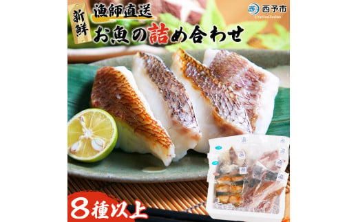 ＜漁師直送 新鮮お魚の詰め合わせ＞ 魚 さかな つめあわせ お楽しみ 8種以上 麹漬け 切り身 おかず おつまみ 下処理済み 簡単 海鮮 海産物 海鮮セット サワラ 明浜町産 二ノ宮商事株式会社 愛媛県 西予市【冷凍】『1か月以内に順次出荷予定』