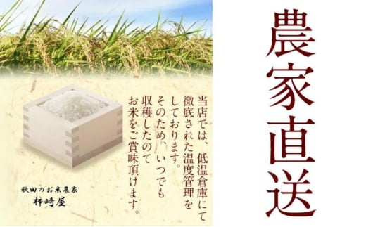 【玄米】秋田県産 あきたこまち 10kg お米専門農家だからできる こだわりの産地直送米 令和6年産