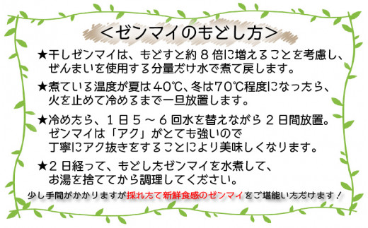 まるで採れたて！竹田特産、みどり干しゼンマイ 50g [A-9101]