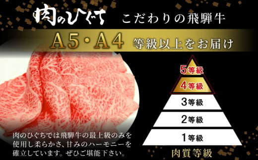 【冷凍配送】飛騨牛 サーロインブロック 5kg ローストビーフ ステーキ 焼肉 A5 A4 サーロインステーキ サーロイン ブロック ブロック肉 塊肉 国産 牛 冷凍 和牛 牛肉 白川 ギフト 贈答 お肉 肉 東白川村 岐阜 飛騨 贅沢 霜降り 赤身 肉のひぐち