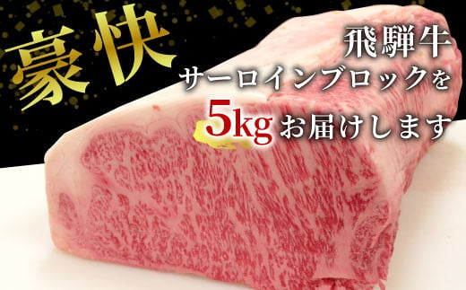 【冷凍配送】飛騨牛 サーロインブロック 5kg ローストビーフ ステーキ 焼肉 A5 A4 サーロインステーキ サーロイン ブロック ブロック肉 塊肉 国産 牛 冷凍 和牛 牛肉 白川 ギフト 贈答 お肉 肉 東白川村 岐阜 飛騨 贅沢 霜降り 赤身 肉のひぐち