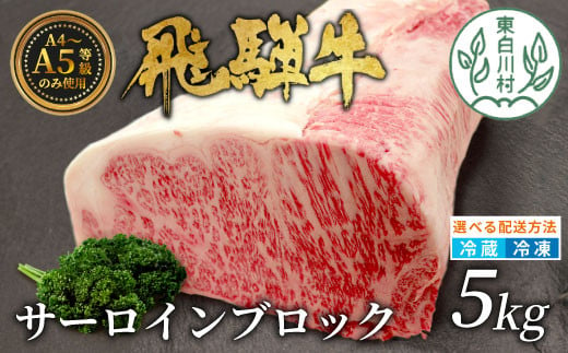 【冷凍配送】飛騨牛 サーロインブロック 5kg ローストビーフ ステーキ 焼肉 A5 A4 サーロインステーキ サーロイン ブロック ブロック肉 塊肉 国産 牛 冷凍 和牛 牛肉 白川 ギフト 贈答 お肉 肉 東白川村 岐阜 飛騨 贅沢 霜降り 赤身 肉のひぐち