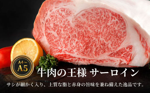 【冷凍配送】飛騨牛 サーロインブロック 5kg ローストビーフ ステーキ 焼肉 A5 A4 サーロインステーキ サーロイン ブロック ブロック肉 塊肉 国産 牛 冷凍 和牛 牛肉 白川 ギフト 贈答 お肉 肉 東白川村 岐阜 飛騨 贅沢 霜降り 赤身 肉のひぐち