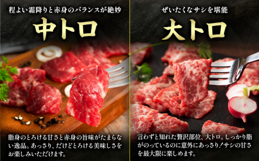 馬肉 馬刺し 特選霜降り馬刺しセット 6種(450g) タレ 生おろし生姜付き 道の駅竜北《60日以内に出荷予定(土日祝除く)》 熊本県 氷川町 送料無料 肉 赤身 霜降り ユッケ お取り寄せ