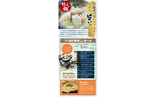 【先行予約】幻のクエ！国産 養殖クエ鍋500g 刺身150g くえ 鍋 セット【fki101】