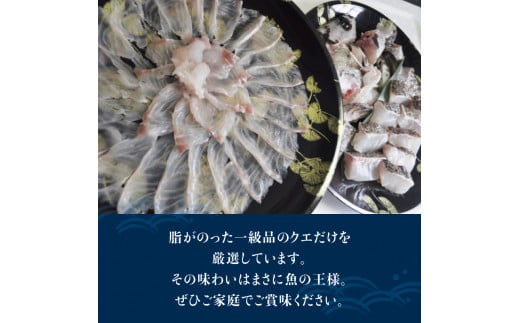 【先行予約】幻のクエ！国産 養殖クエ鍋500g 刺身150g くえ 鍋 セット【fki101】