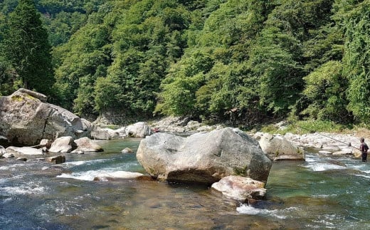 予約受付【令和7年】益田川鮎友釣り年券 1枚 釣り 釣り券 あゆ アユ 下呂市 2025年 釣り券 つり券